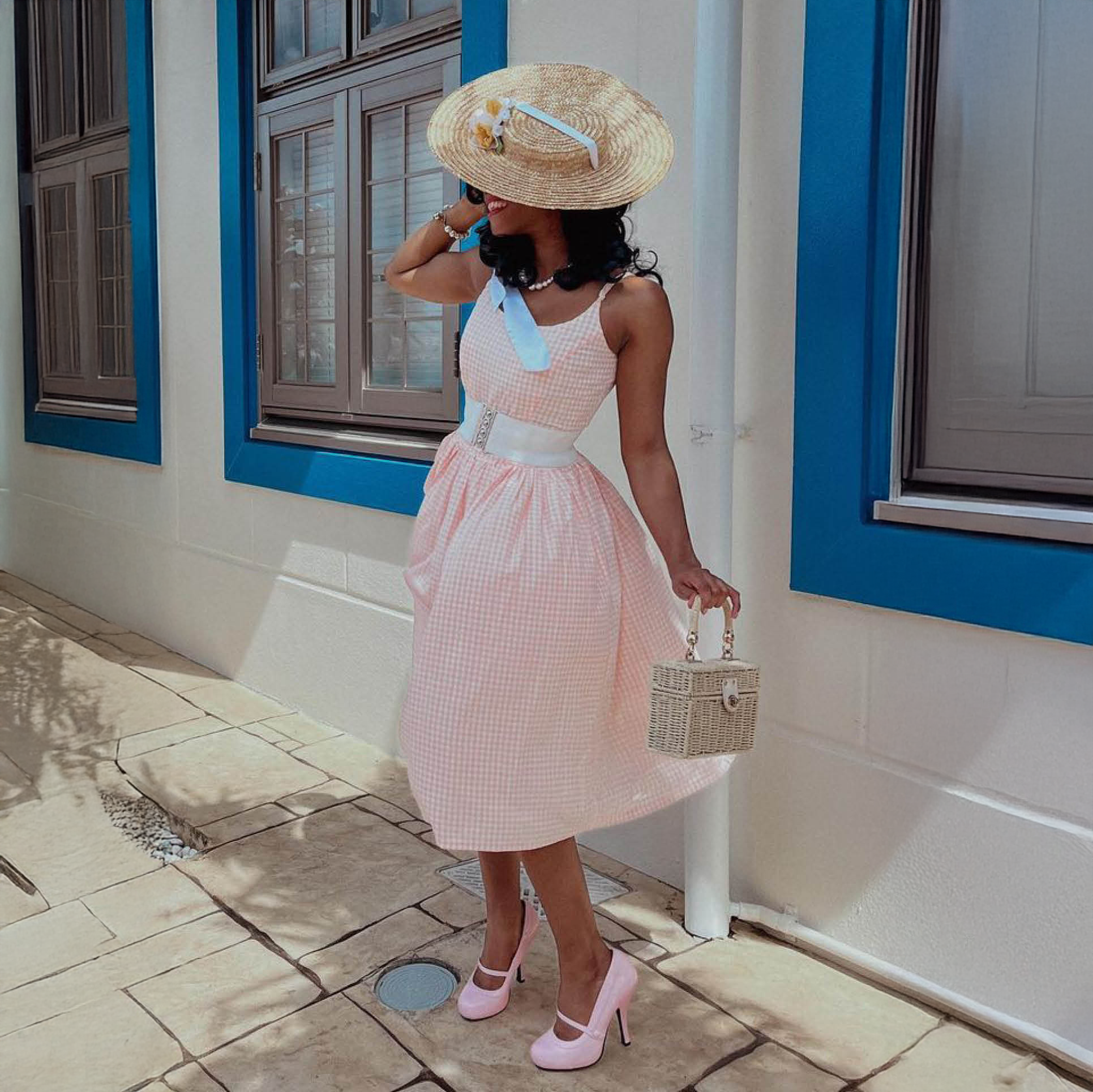 Sandra Fit and Flare Dress Pink Gingham / XS Sandra Fit and Flare Dress Pink Gingham / XS